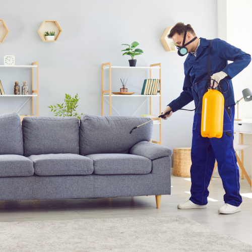 AK-FACILITIES-9.png क्लीनिंग और कीट नियंत्रण सेवाएँ – एक स्वच्छ, स्वस्थ और कीट-मुक्त घर - Image 1